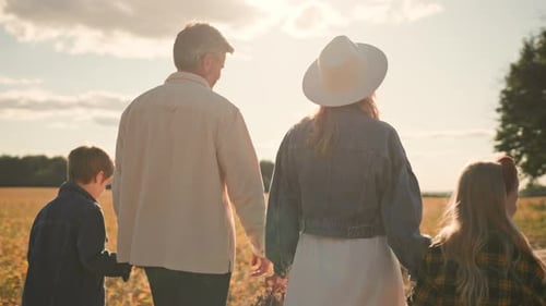 At Sunset Shot Back Happy Family Walk in Wheat Field People Holding Hands Parent Nature Slow Motion
