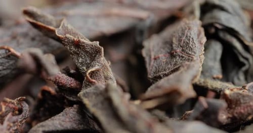 Black large-leaf tea Super Macro Close Up.