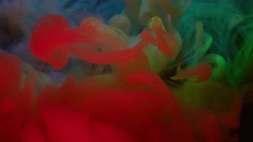 Colorful Ink Droplets Mixing Together Abstractly in Water