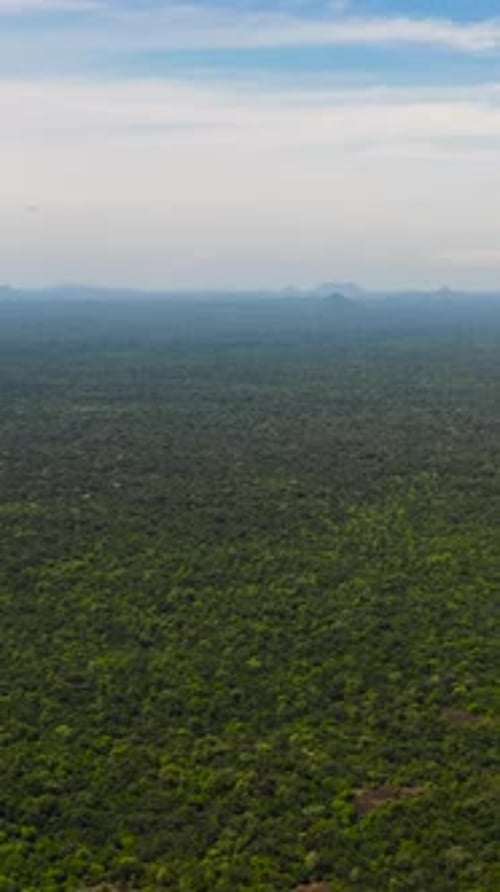 Jungles and Rainforests in Sri Lanka