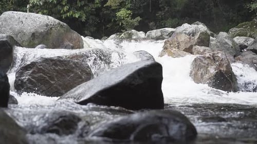 Río a cámara lenta, arroyo en un bosque tropical en un día nublado