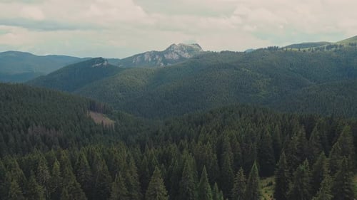 Aerial drone view flying over a dense forest with mountains in the background