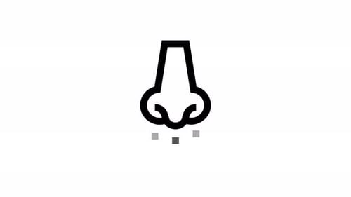 Minimalist Line Art Sniffing Nose Icon Animation