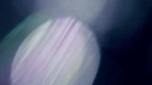 Light Leaks