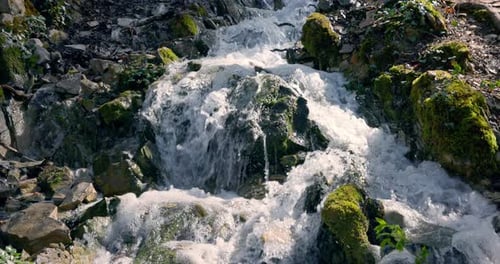 Kaskadenwasserfall, der im Frühlingswald auf Felsen fällt