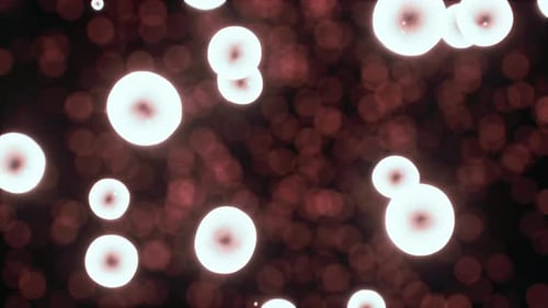 Abstract Glowing Microscopic Cells Floating Upward Animation