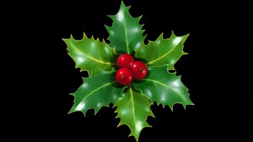 Animated Christmas Holly Sprig with Red Berries Spinning