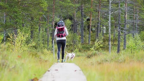 Hiker with Backpack and a Dog by Her Side Walking along the Elevated Pathway in the Forest
