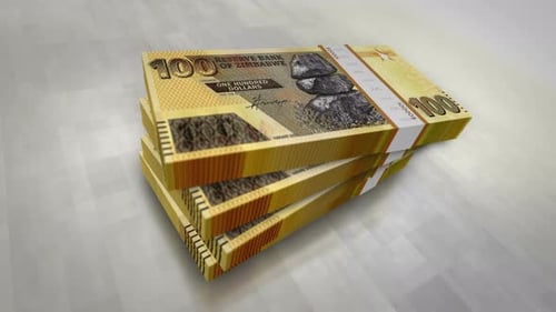 Pacotes de notas de dinheiro em dólares do Zimbábue