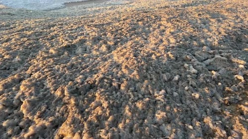 Large amount of sea foam wobbling and shaking in the sea winds