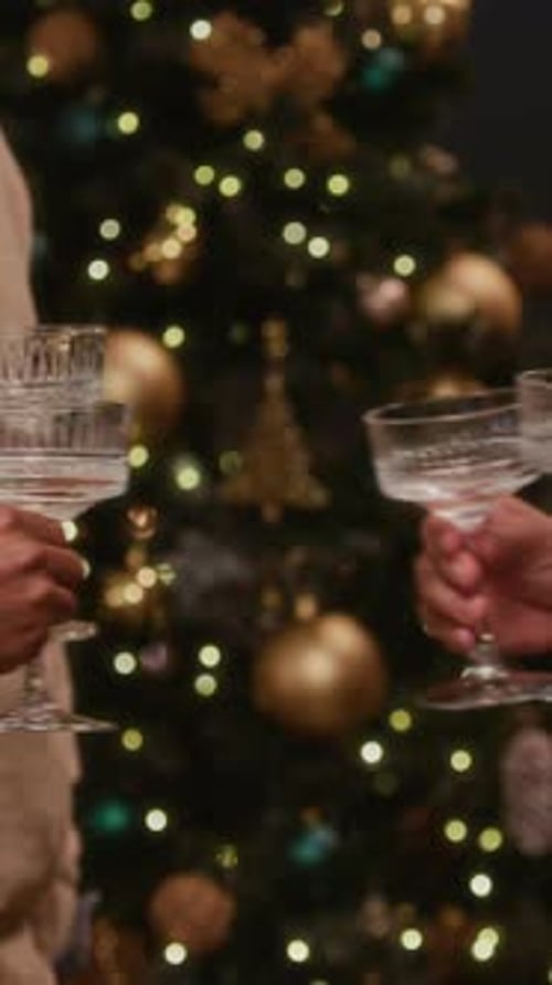 Vertical of Friends comemorando o Natal com torrada de champanhe