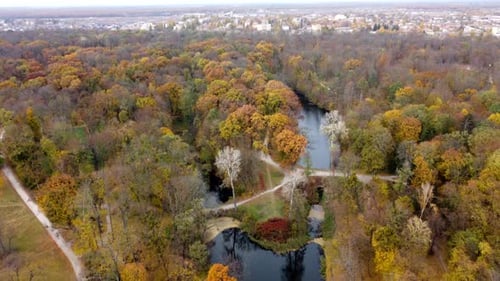 Autumn Park City Different Trees Yellow Leaves Earthen Path Lakes People Walking