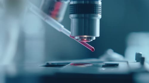 Blood Sample Drip Under Microscope