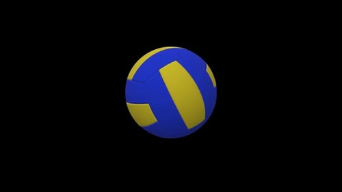 pelota de voleibol
