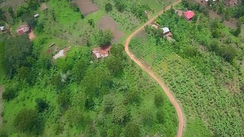 Winding dirt path cuts through green fields and scattered houses in rural Uganda.