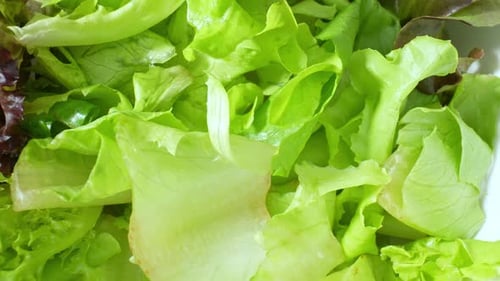 Close-up of a green vegetable salad.
