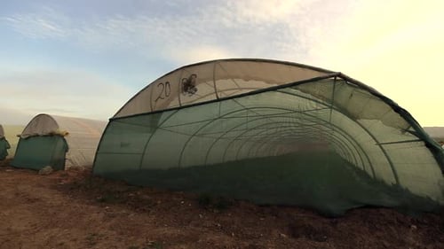 Agricultural in greenhouses and drip irrigation