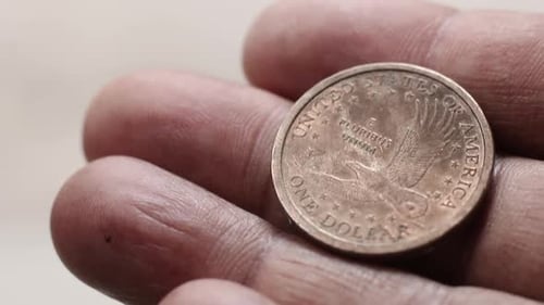 Close up of U.S. Dollar Coins 7233 C