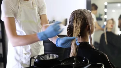 Hair Stylist Applying Dye to Woman's Hair