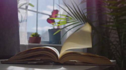 Pages of Book Turning Near Window and Plants