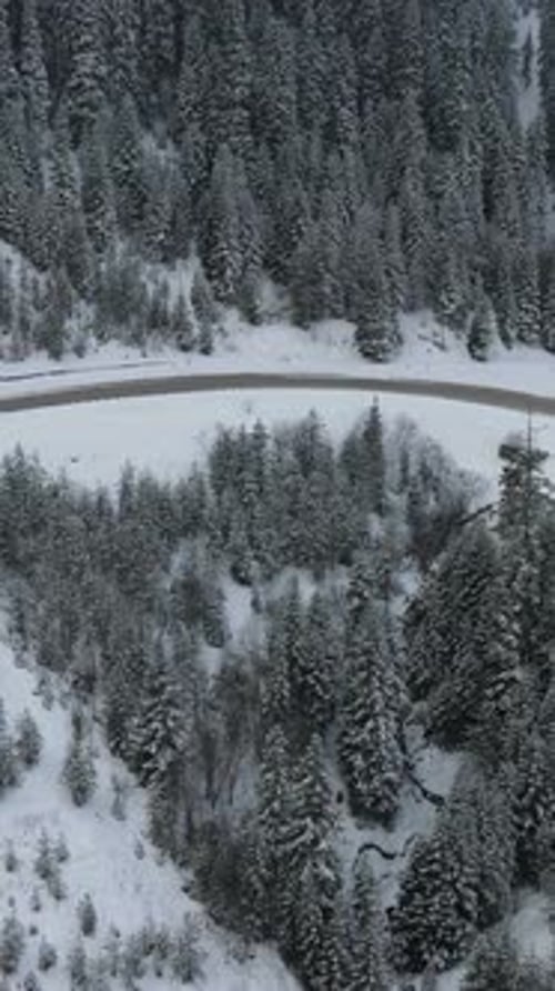 Snowy Highway In Forest