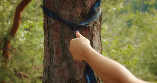 Femme serrant la sangle du hamac autour d'un pin, avec la forêt et les falaises rocheuses et au loin