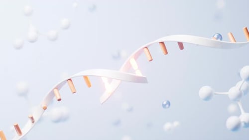 3D DNA Helix and Molecule Structures Animation