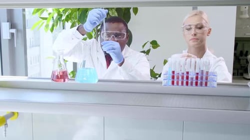 Scientist Working in Lab Doctors Making Medical Research Laboratory Tools Microscope Test Tubes