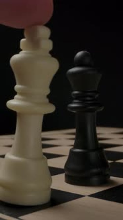 Vertical of Chess The White King His Fallen by Hand Black gagne