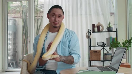 Portrait d'un propriétaire masculin interagissant avec un gros serpent jaune au bureau à domicile