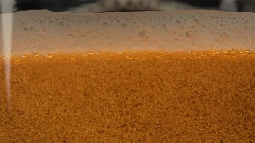 Beer is poured into a glass close up. Beer foam in a glass with bubbles from fermentation
