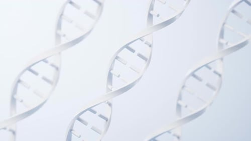 Rotating DNA Double Helix Structure Animation