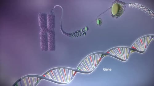 Estructura vibrante de doble hélice de ADN con nucleótidos coloridos y enlaces moleculares