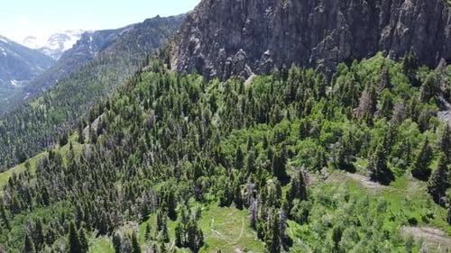 Aerial view of mountains and forest in wilderness, United States.