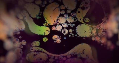 Abstract Colorful Bubbles and Spots Macro Shot