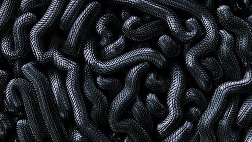 Metal texture dragon scales background.Lively coiled black snakes background, intertlaced serpents