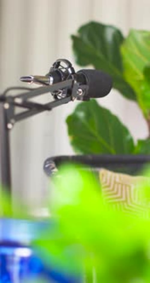 Vidéo verticale : le micro situé sur la perche se déplace vers l'intérieur alors que la caméra fait la mise au point sur le micro central au milieu des plantes