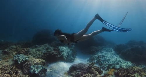 Beauty Freediver Woman Glides or Swims Underwater Free Diving in Blue Ocean Over Corals