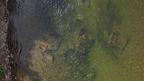 Aerial view of the shallow clear river