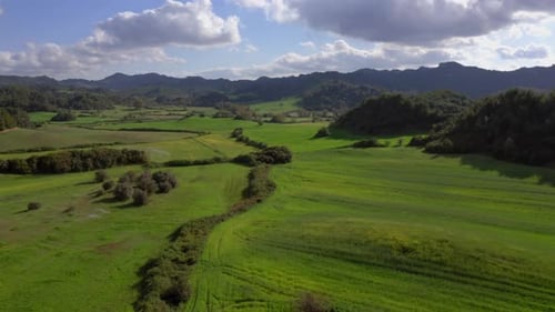 Aerial: Flying over a green field. Summer sunny landscape with blue sky and clouds