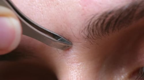 Eyebrow Plucking with Tweezers, Close Up