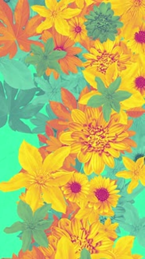 Vibrant Animated Floral Pattern Loop for Vertical Video