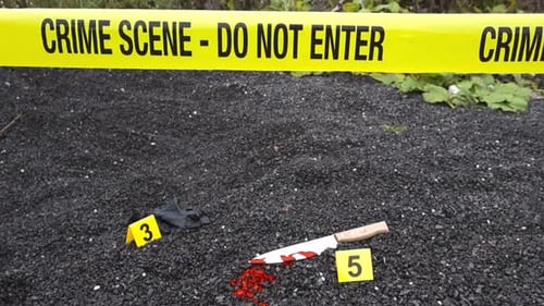 Crime Scene Investigation: Evidence at a Crime Scene