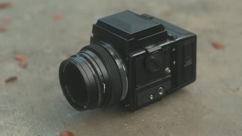 Eine Vintage-Kamera, die auf einer Oberfläche positioniert ist, die wunderschön von bunten Blättern umgeben ist
