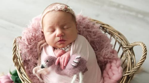 Sleeping Infant in Basket with Pink Flamingo Toy