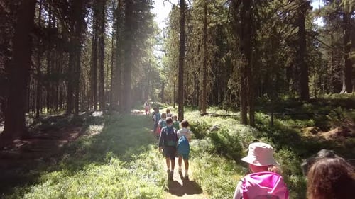 Group Of Children On An Outing In The Woods