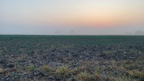 Motion timelapse of morning mist over open field at sunrise. Trees in the fog. Magic autumn morning