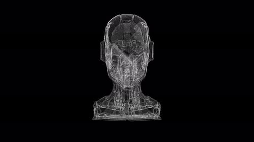 Digital Wireframe Head In Rotation