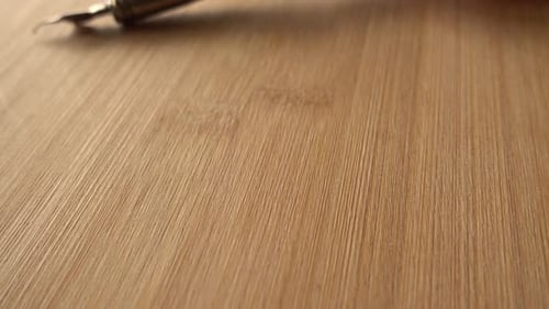 Antique Bronze Calligraphy Pen Resting on Surface