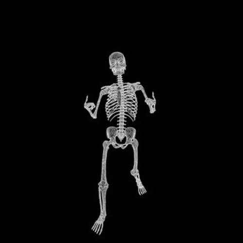 Dancing Geometric Wireframe Skeleton Seamless Loop